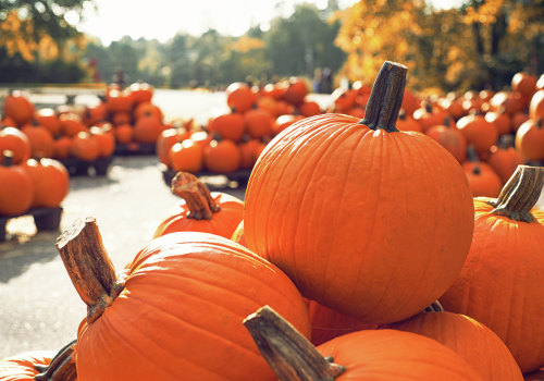 Honor Our Veterans at the Dripping Springs Pumpkin Festival